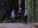 photo thumbnail #9