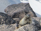 photo thumbnail #11