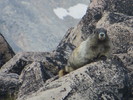 photo thumbnail #12