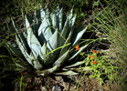 photo thumbnail #8