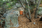 photo thumbnail #5