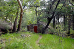 photo thumbnail #7