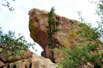 photo thumbnail #15