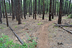 photo thumbnail #7