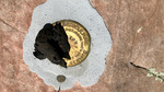 photo thumbnail #6