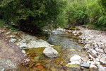 photo thumbnail #11