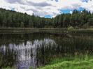 photo thumbnail #5