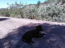 photo thumbnail #12