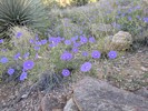 photo thumbnail #1