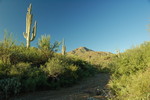 photo thumbnail #1