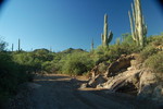 photo thumbnail #3