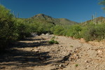photo thumbnail #14