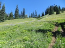 photo thumbnail #2