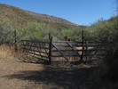 photo thumbnail #10