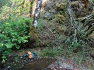 photo thumbnail #8