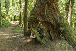 photo thumbnail #5