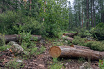 photo thumbnail #15