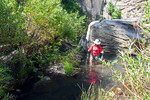 photo thumbnail #8