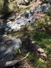 photo thumbnail #12