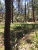 photo thumbnail #14