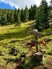 photo thumbnail #2