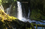 photo thumbnail #2