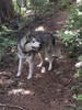 photo thumbnail #4