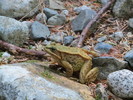 photo thumbnail #5