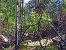 photo thumbnail #13