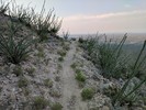 photo thumbnail #2