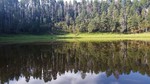 photo thumbnail #1