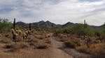 photo thumbnail #6