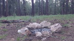 photo thumbnail #11