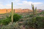 photo thumbnail #1