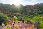 photo thumbnail #4