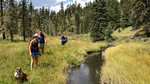 photo thumbnail #3