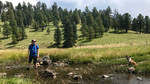 photo thumbnail #8