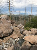photo thumbnail #13