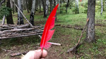 photo thumbnail #15