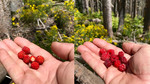 photo thumbnail #10