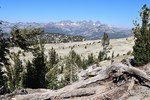photo thumbnail #15