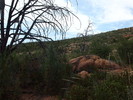 photo thumbnail #14