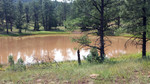 photo thumbnail #4