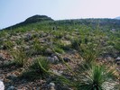photo thumbnail #11