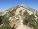 photo thumbnail #3
