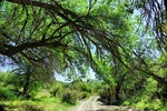 photo thumbnail #14