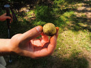 photo thumbnail #1