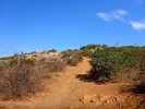 photo thumbnail #15
