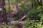 photo thumbnail #15