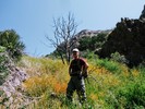 photo thumbnail #12